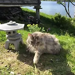 Hyggelig Lite Bosted Ved Sjoen, Naer Sentrum I Valnesfjord 아파트