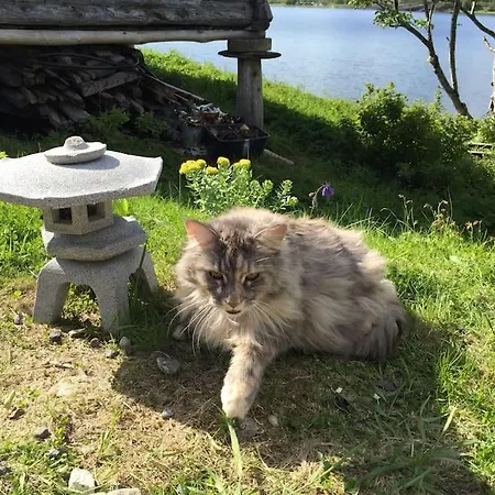 Hyggelig Lite Bosted Ved Sjoen, Naer Sentrum I Valnesfjord Διαμέρισμα