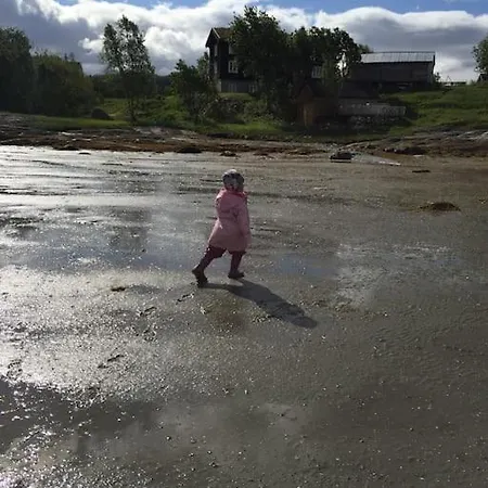 公寓 Hyggelig Lite Bosted Ved Sjoen, Naer Sentrum I Valnesfjord